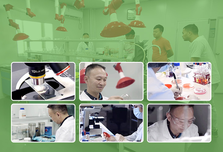 如何選擇質量好的防霉片呢？